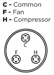 piknotes diagrama.jpg